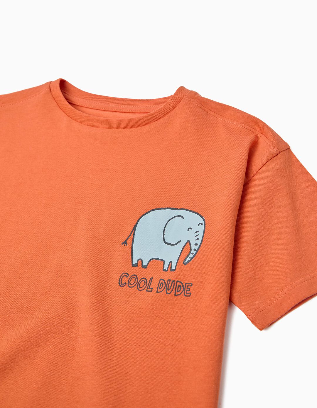 T-shirt Estampada, Menino, Laranja Escuro