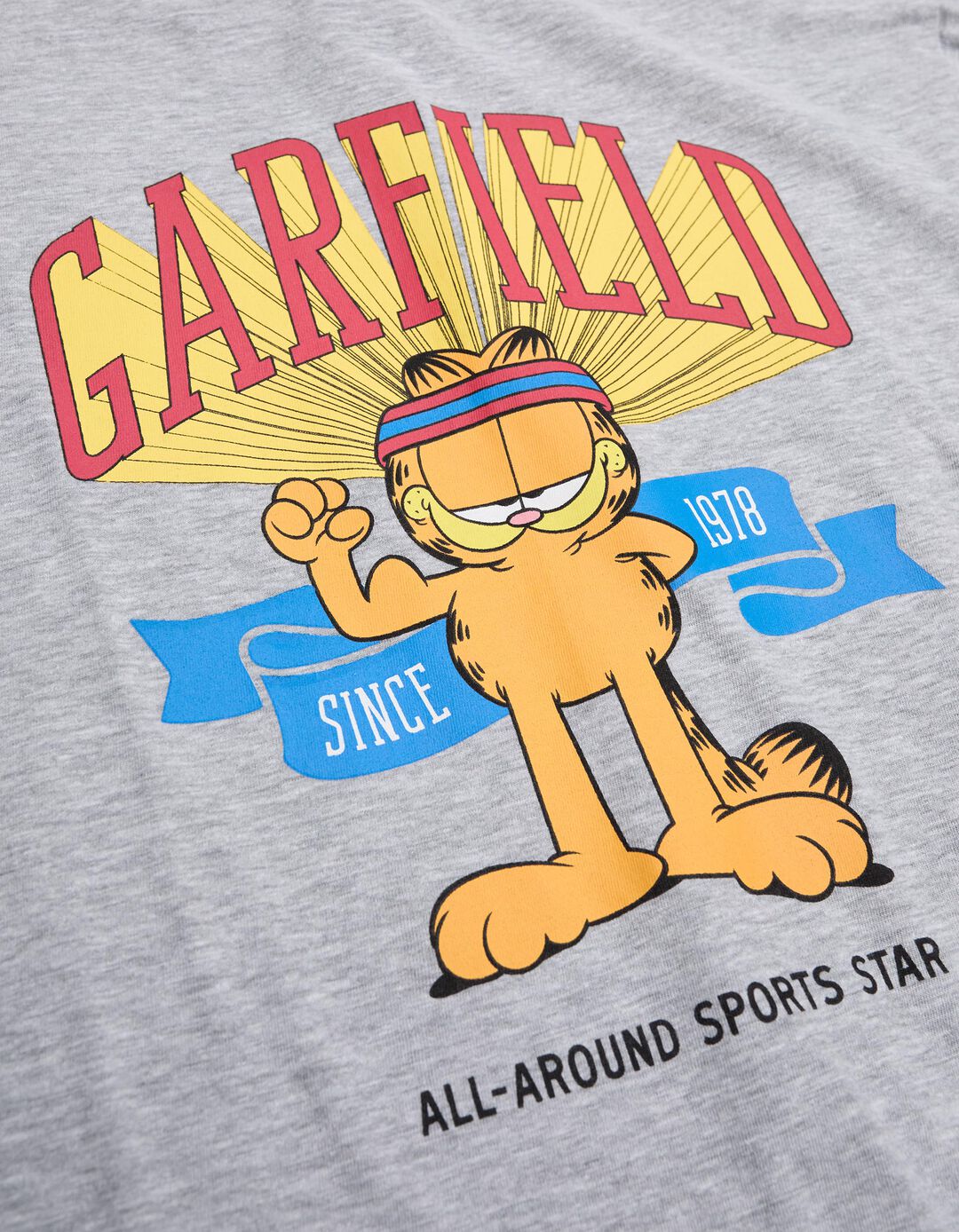 T-shirt de Manga Comprida 'Garfield', Menino, Cinzento Claro