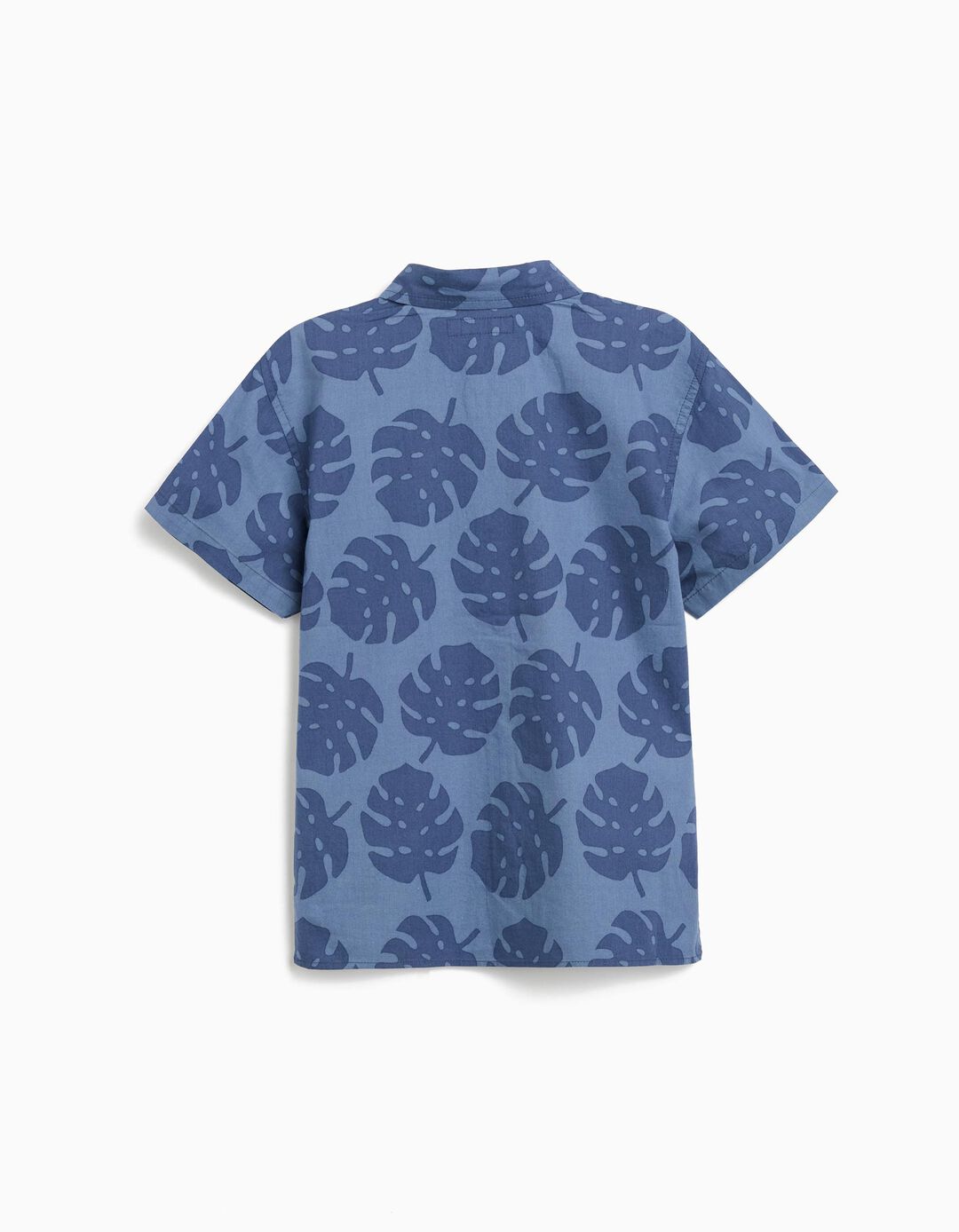Camisa Print Tropical, Menino, Azul