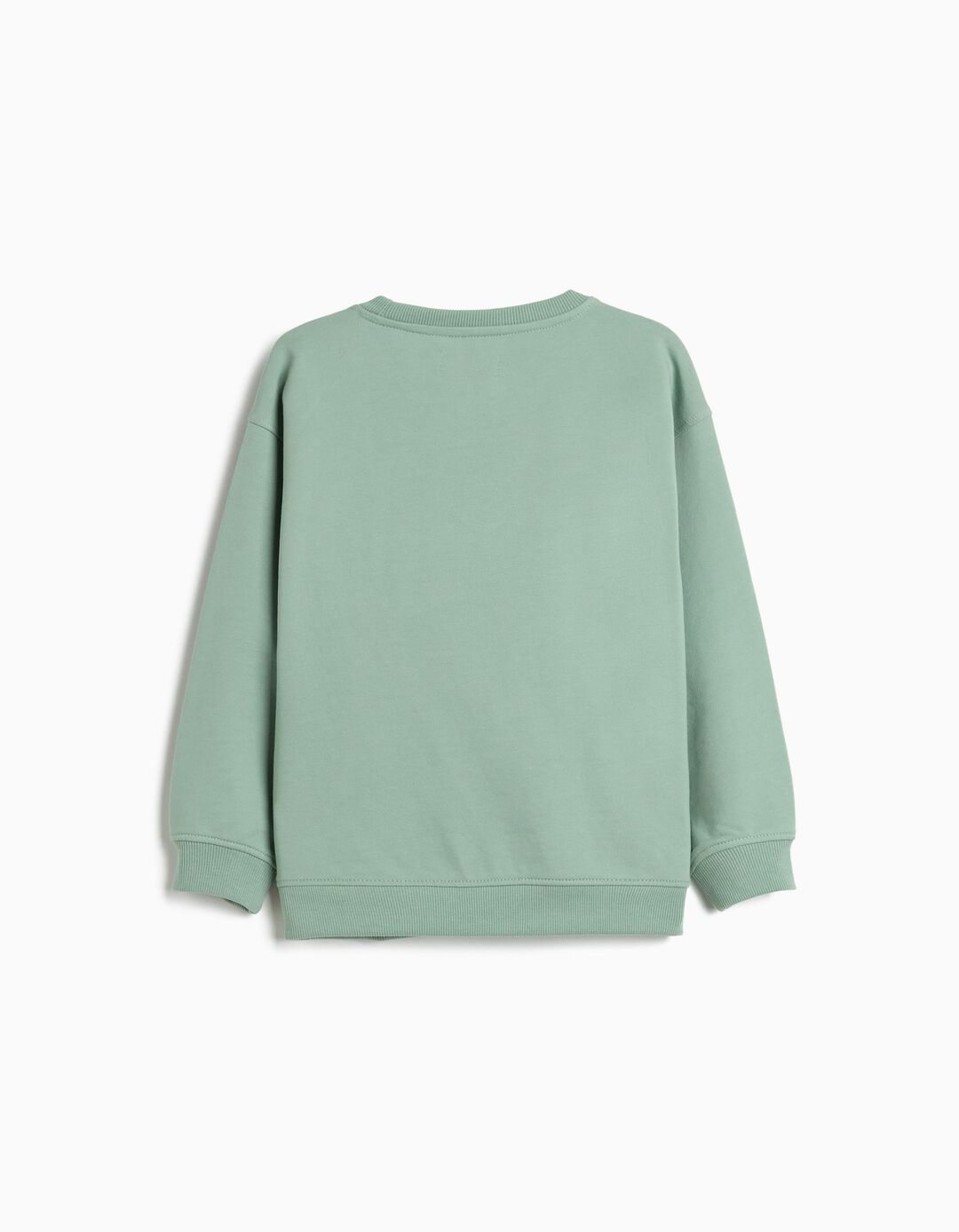 Sweatshirt, Menino, Verde Claro