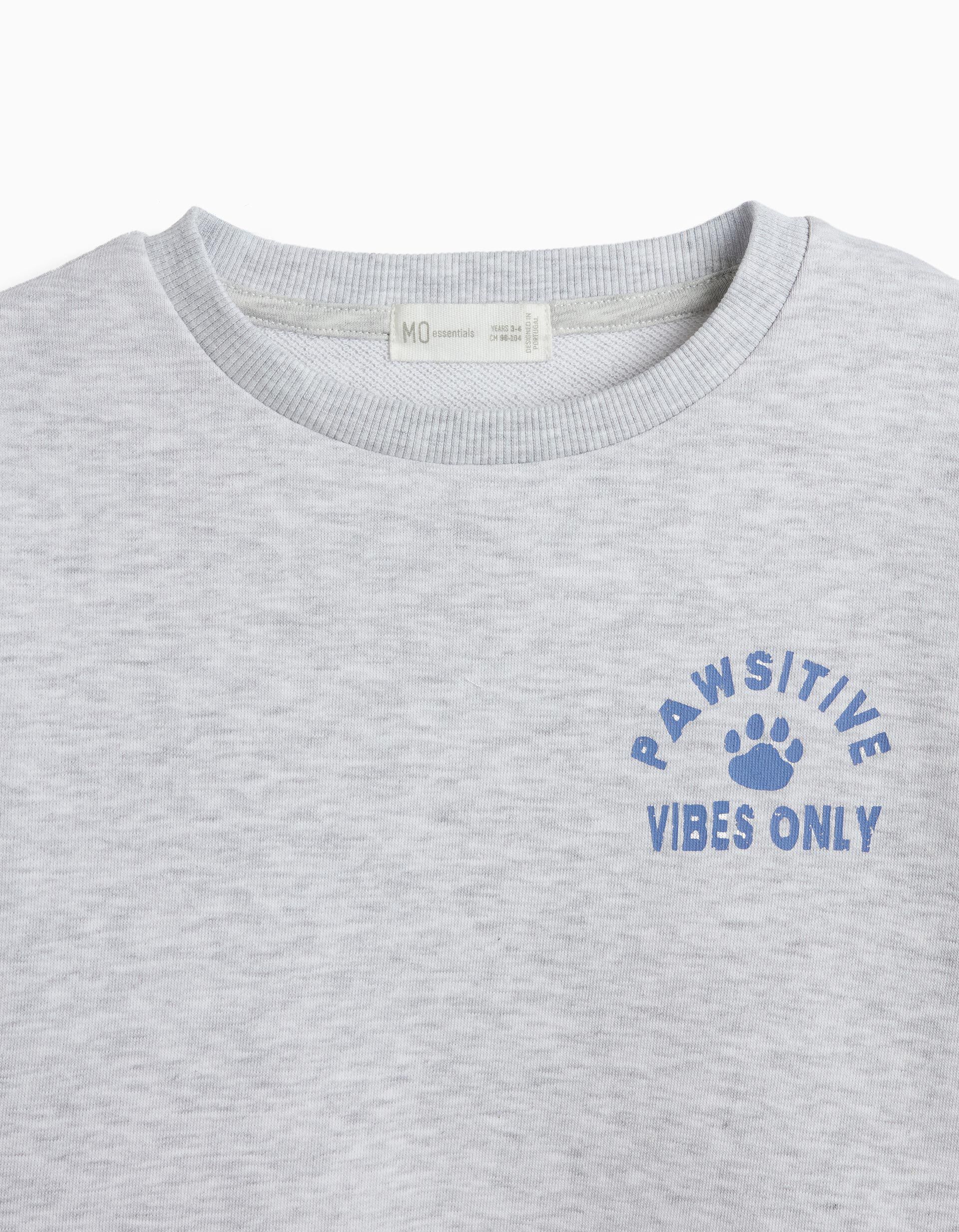 Comprar Online Pack 2 Sweatshirts De Felpa, Menino, Azul