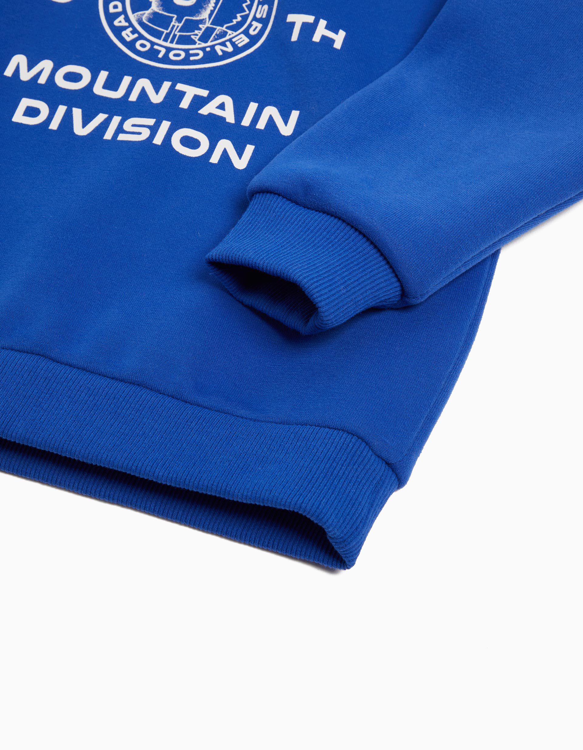 Comprar Online Sweatshirt de Felpa Capuz, Menino, Azul