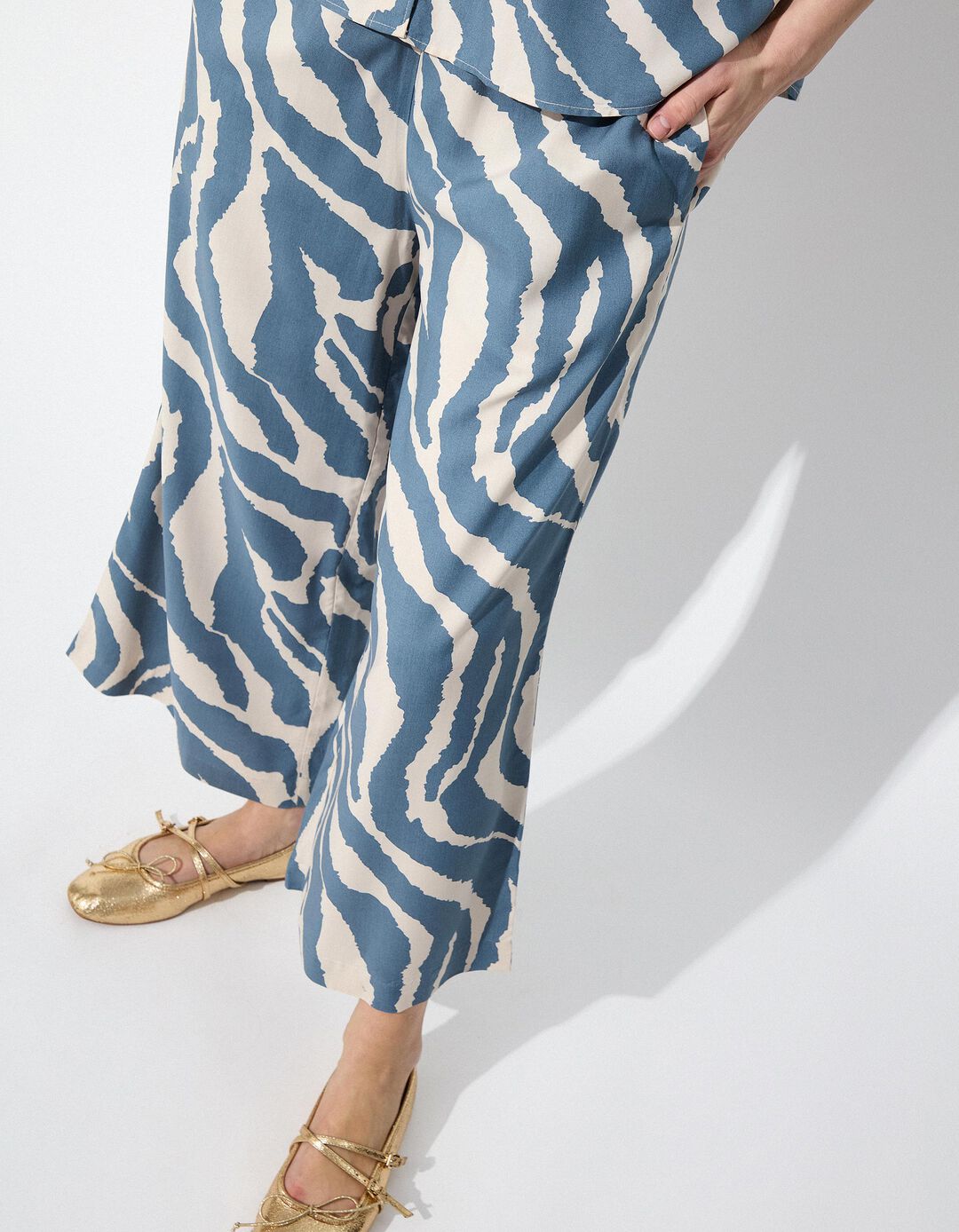 Calças Zebra, Mulher, Azul 