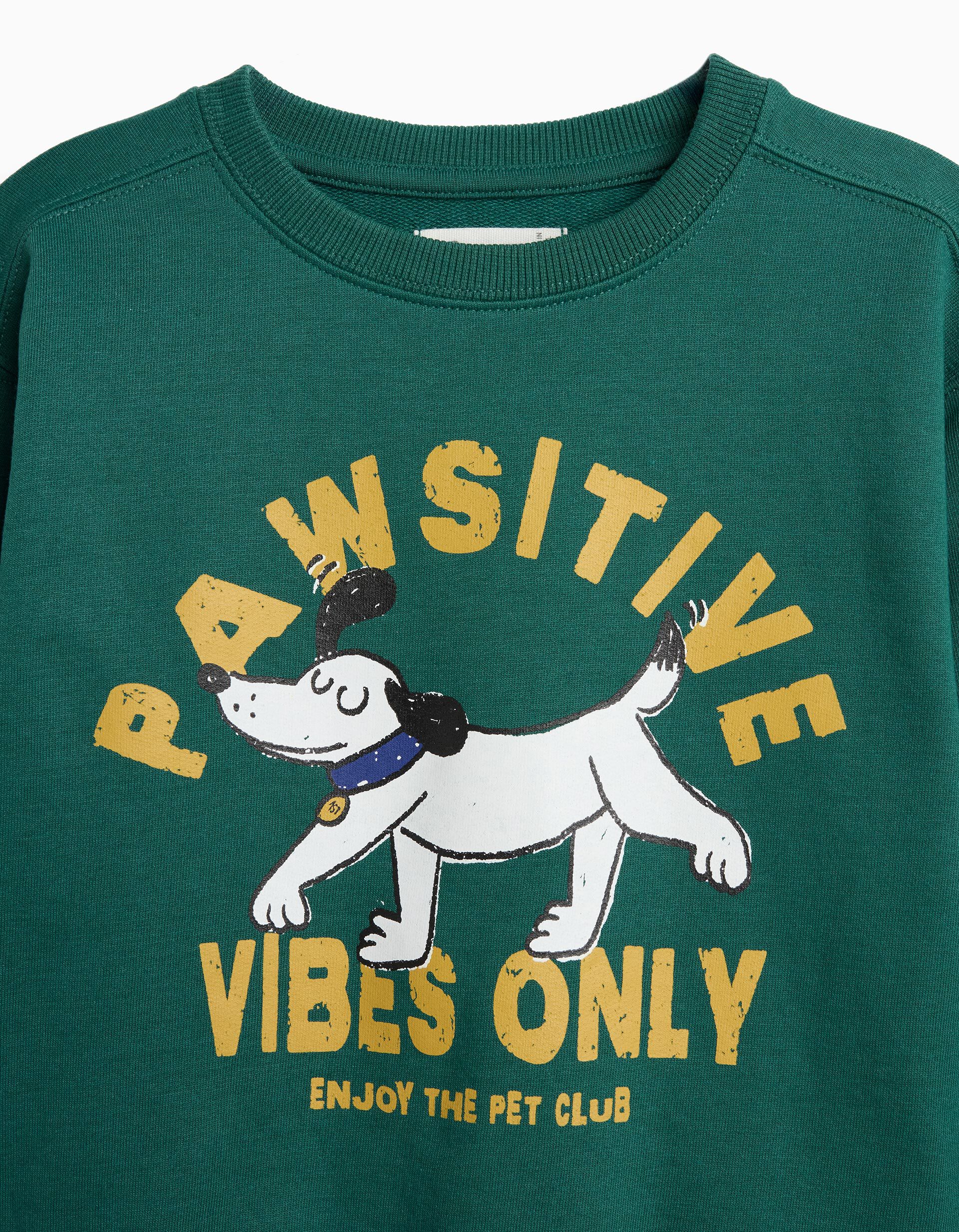 Comprar Online Sweatshirt De Felpa, Menino, Verde Escuro