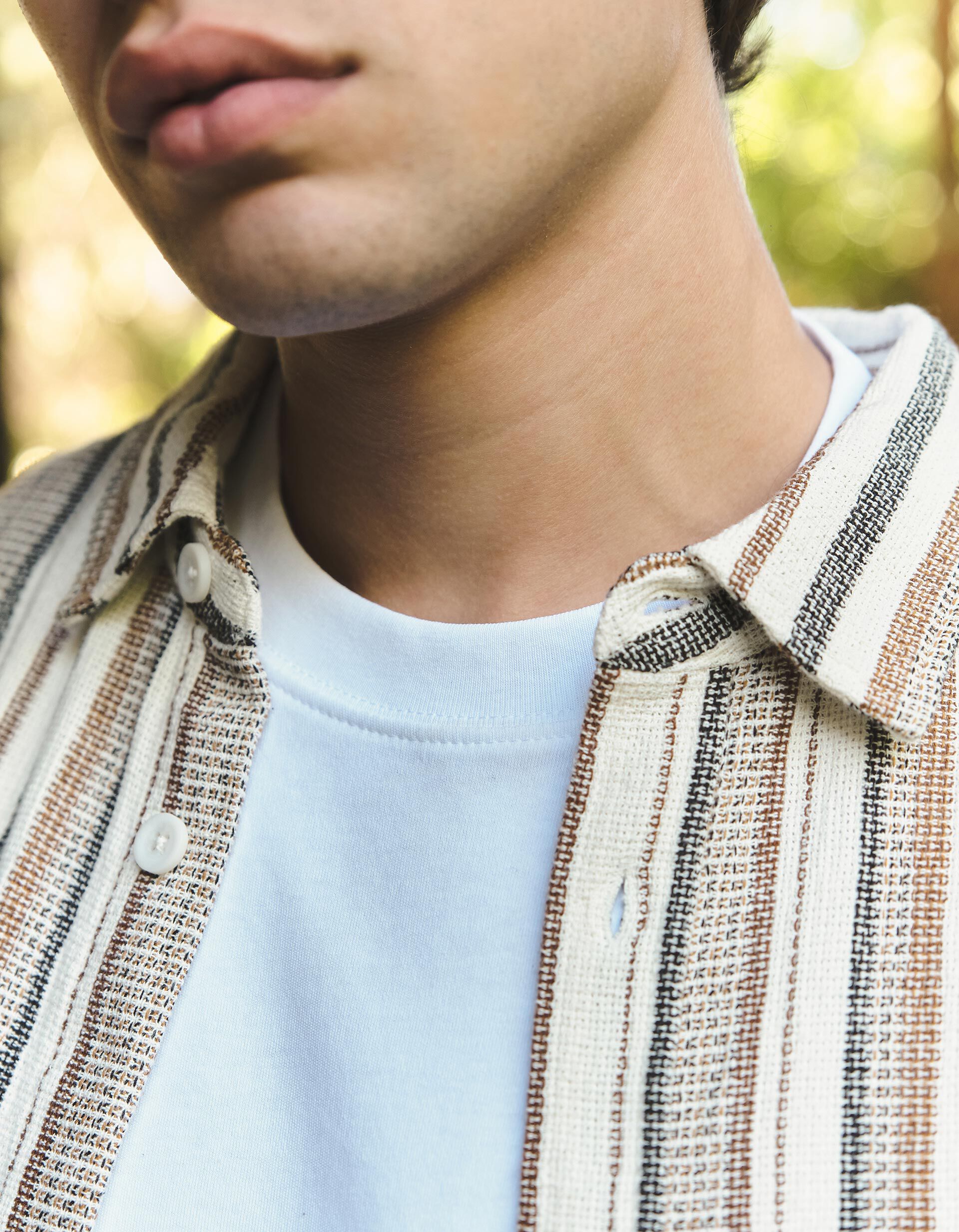 Comprar Online Camisa Riscas, Homem, Bege