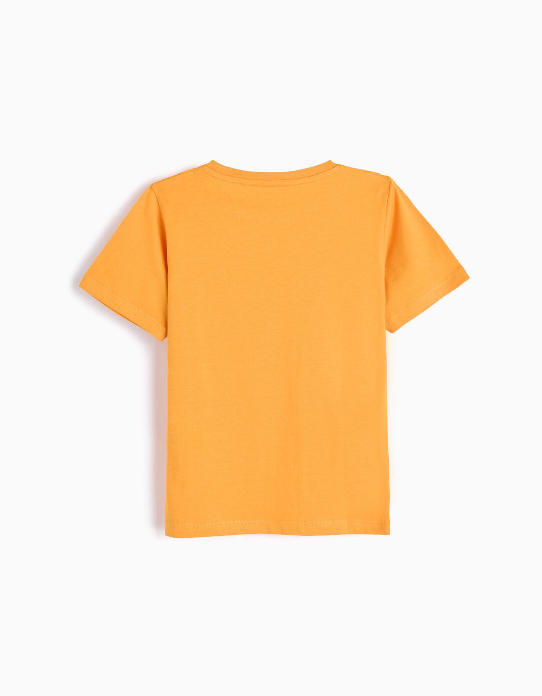T-shirt Estampado, Menino, Laranja