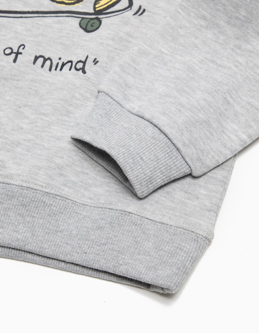Sweatshirt de Felpa Estampado, Menino, Cinzento Claro