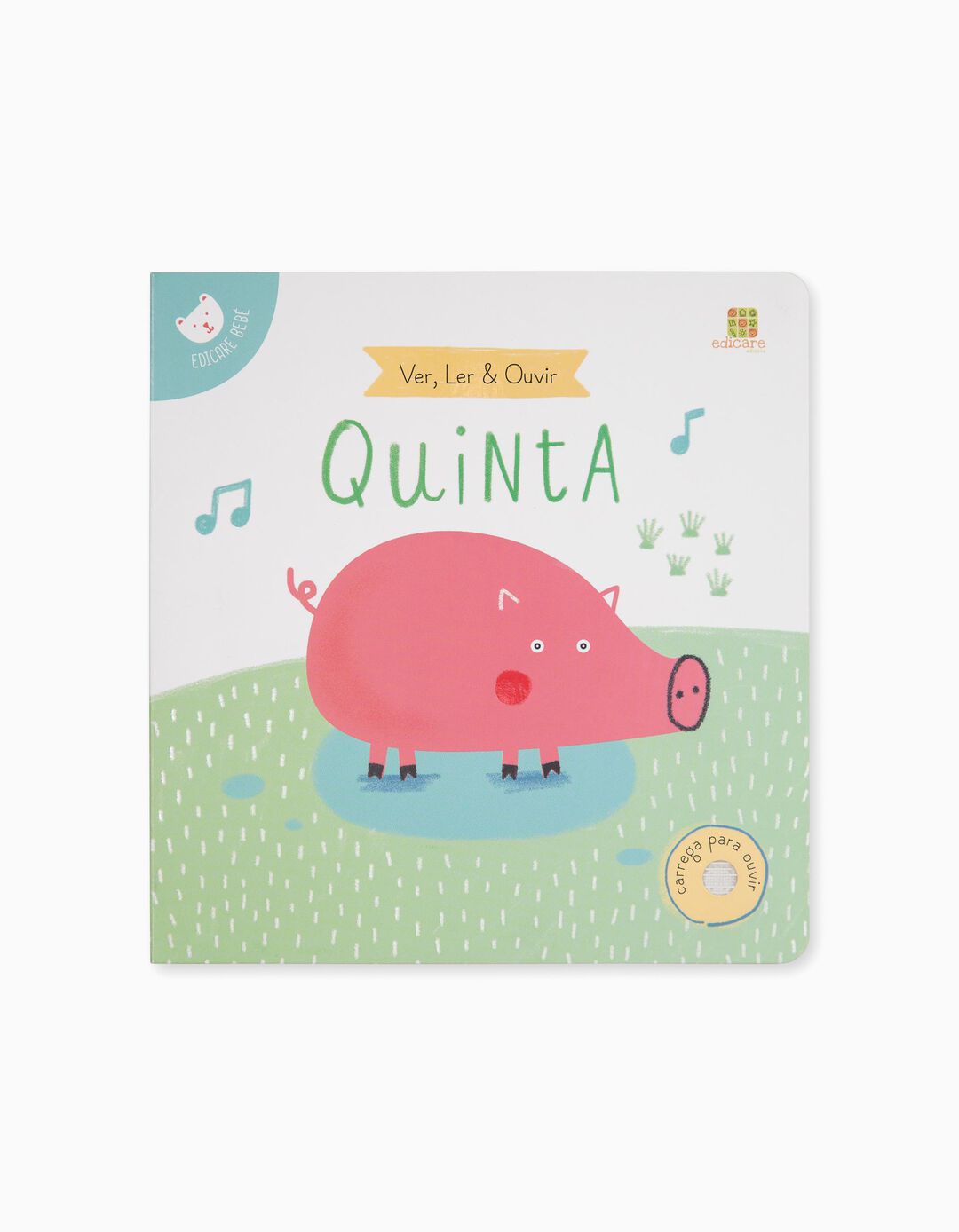 Livro Da Quinta Edicare 12M+