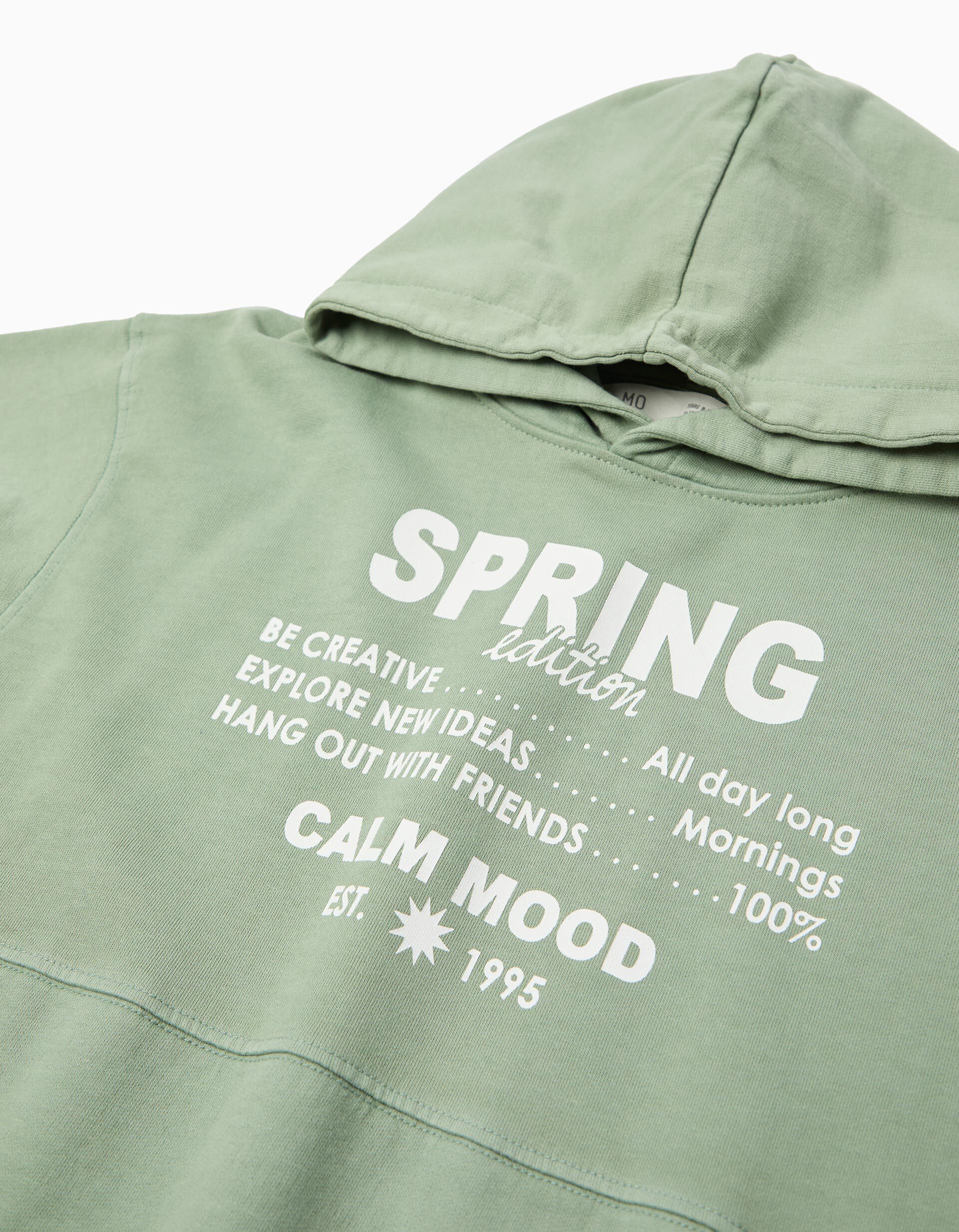 Comprar Online Sweatshirt com Capuz, Menino, Verde Claro