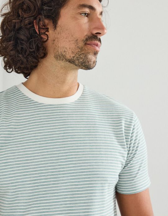 Comprar Online T-shirt Riscas, Homem, Verde Escuro