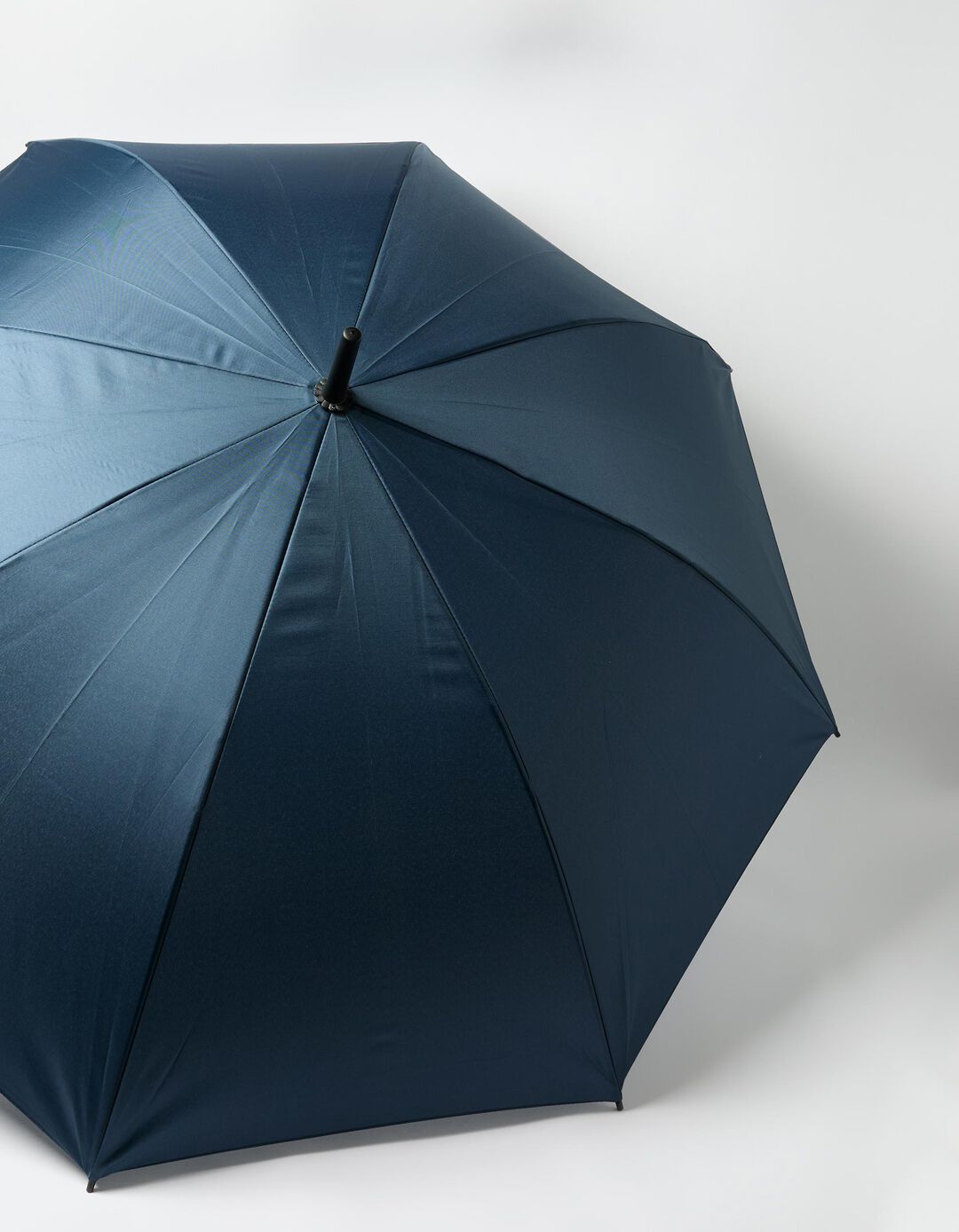 Guarda-chuva, Homem, Azul