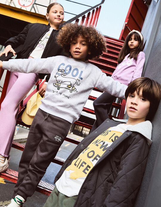 Comprar Online Sweatshirt de Felpa Estampado, Menino, Cinzento Claro